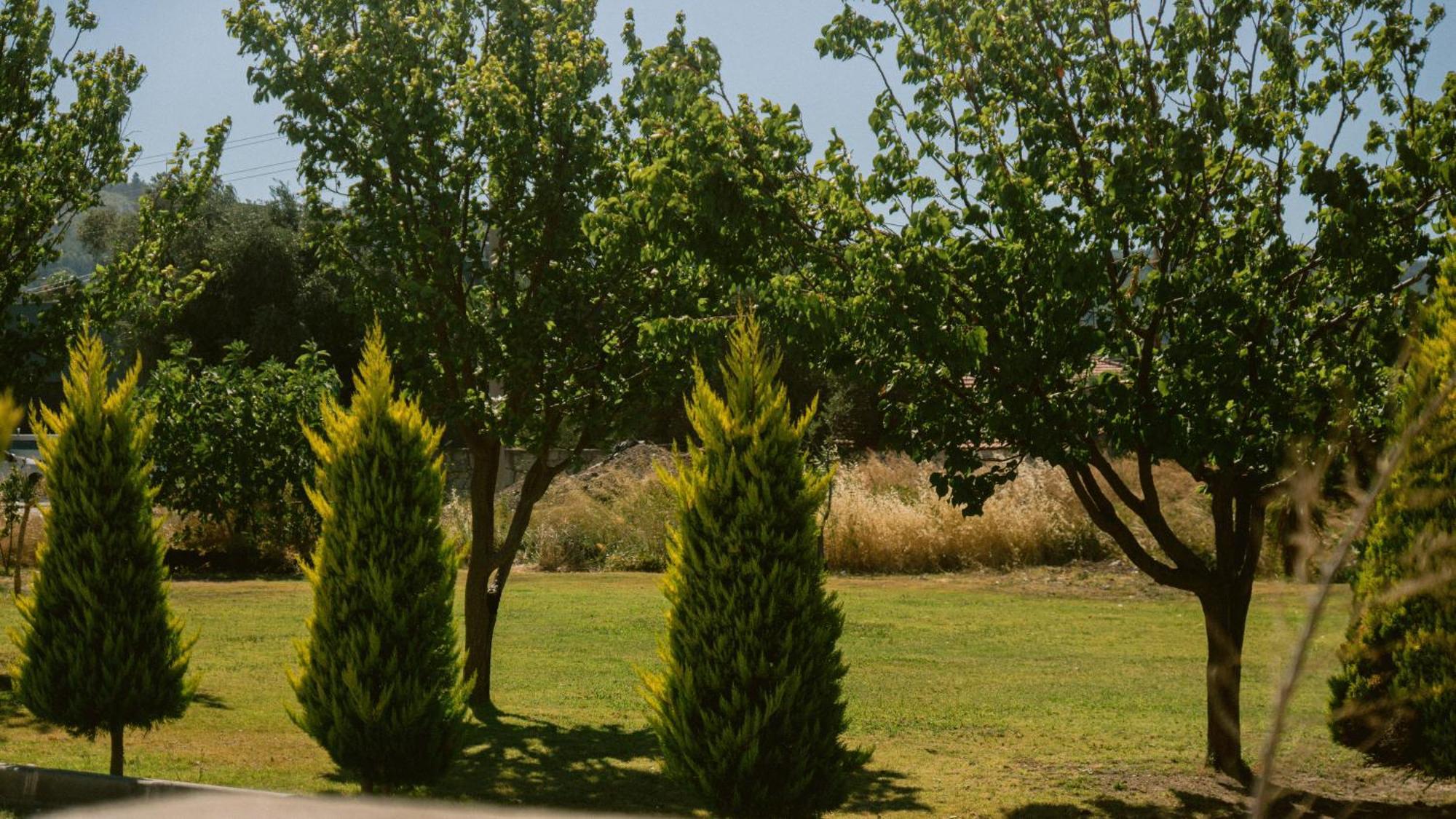 Vela Garden Resort Кешме Экстерьер фото